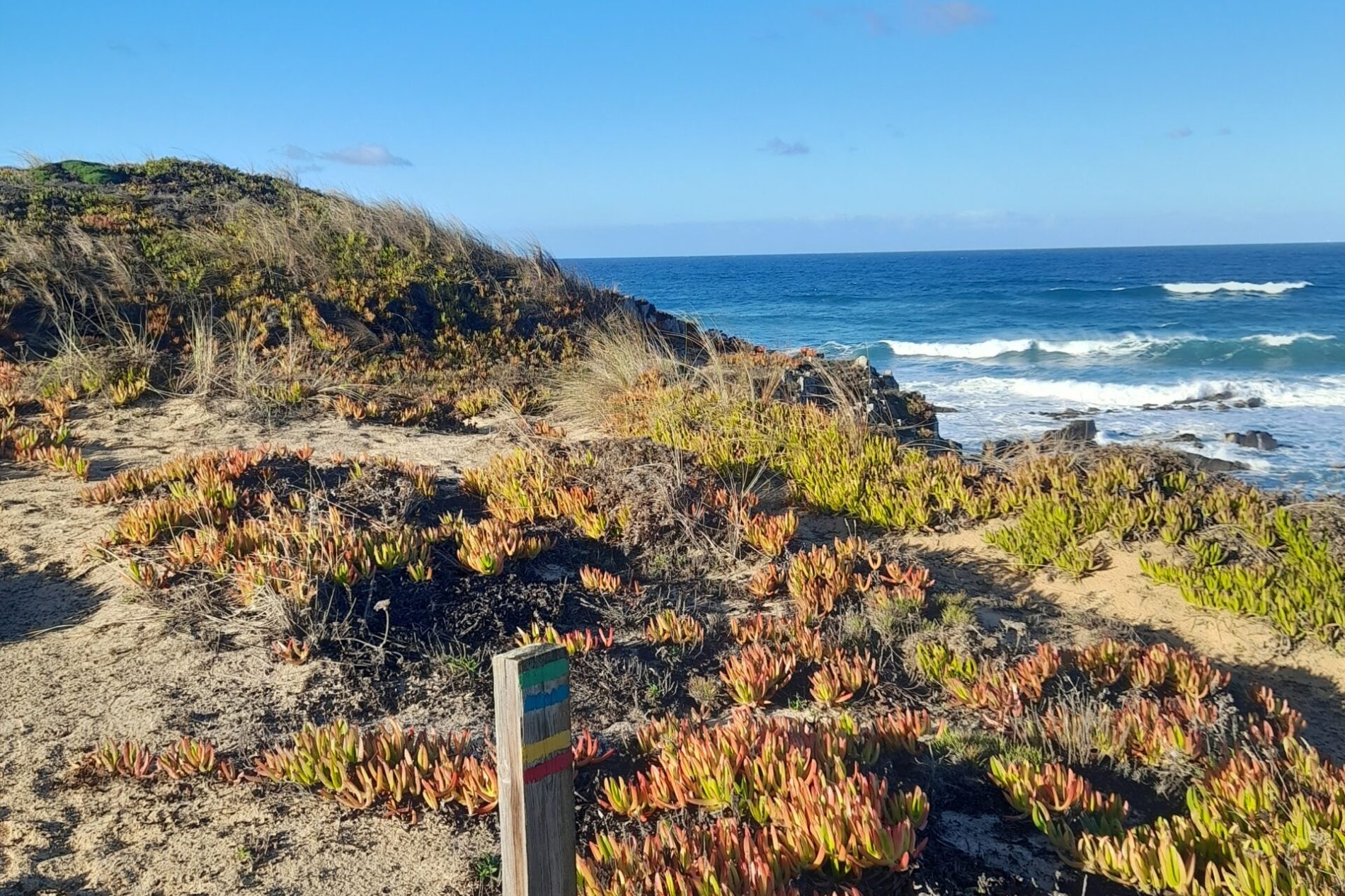 Costa Rota Vicentina